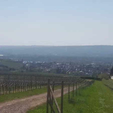 Ferienhaus Marion Am Rheinsteig Rheingau Geisenheim
