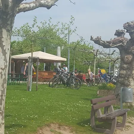 Ferienhaus Marion Am Rheinsteig Rheingau * Geisenheim