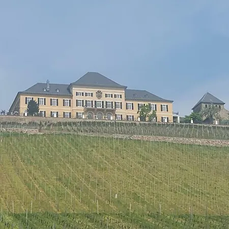 Ferienhaus Marion Am Rheinsteig Rheingau *